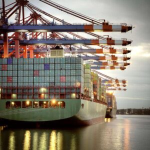 Quality Assurance in Rice and Wheat Trade: Our Commitment to Excellence