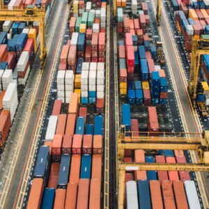 Navigating the Dynamics of Rice and Wheat Markets: Insights and Trends